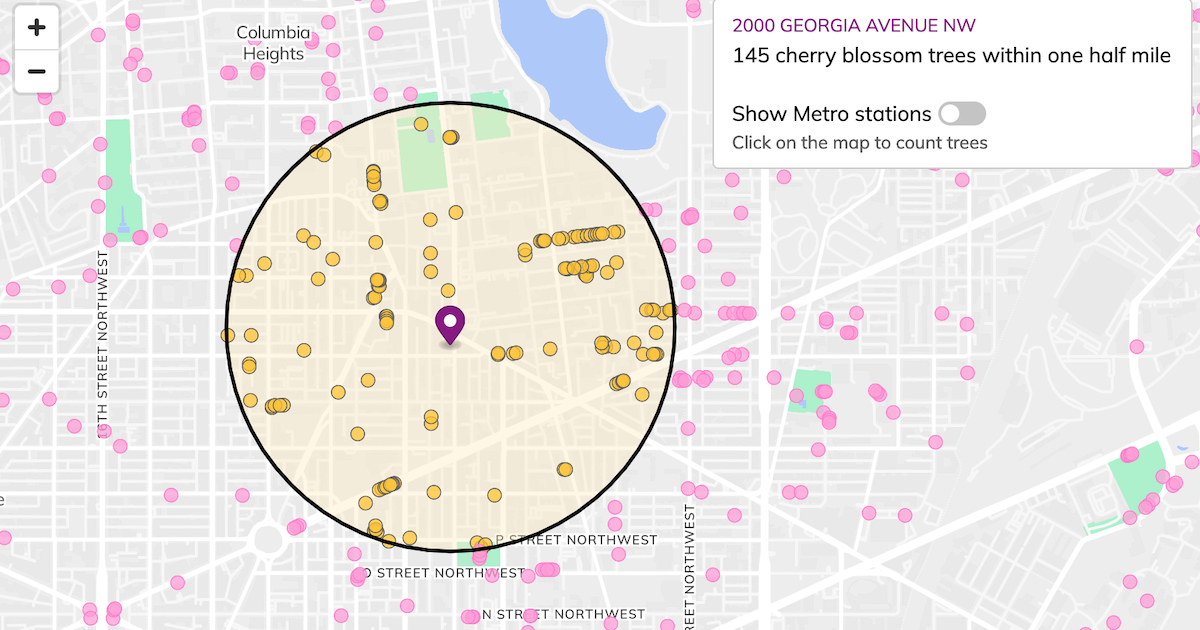 Interactive map screenshot showing cherry blossom tree locations near a point in the District of Columbia.